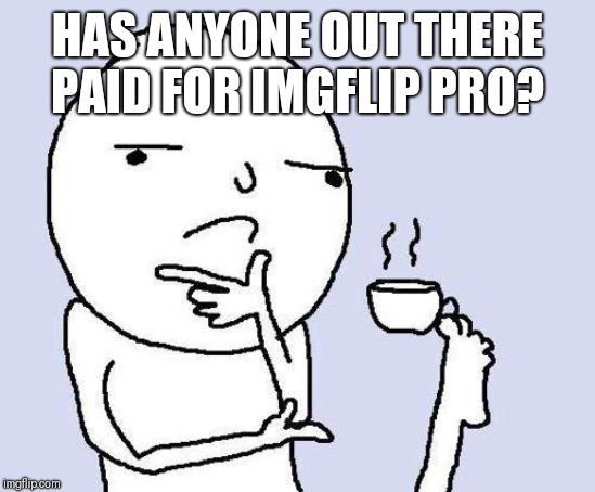 thinking meme | HAS ANYONE OUT THERE PAID FOR IMGFLIP PRO? | image tagged in thinking meme | made w/ Imgflip meme maker