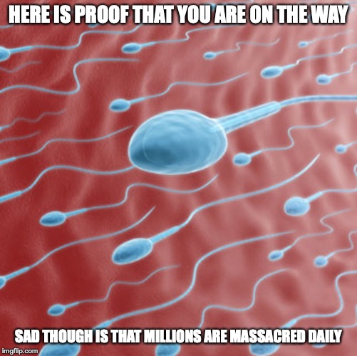 Sperms | HERE IS PROOF THAT YOU ARE ON THE WAY; SAD THOUGH IS THAT MILLIONS ARE MASSACRED DAILY | image tagged in sperm,memes,sexual introcourse | made w/ Imgflip meme maker