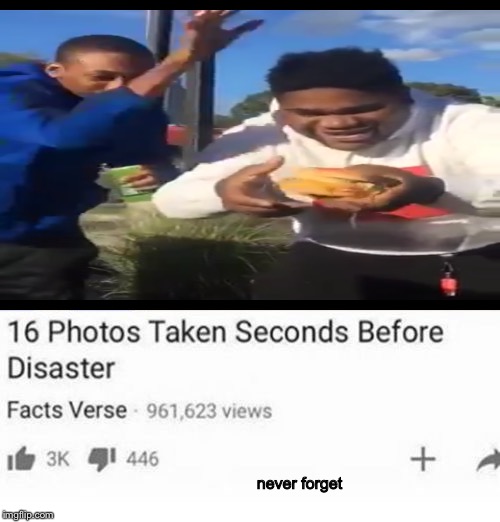 We must never forget... | never forget | image tagged in big mac,memes,funny,videos,youtube | made w/ Imgflip meme maker
