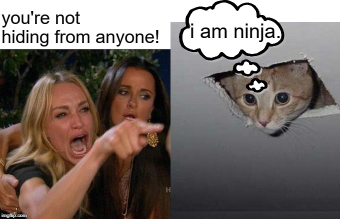 cat fu | you're not hiding from anyone! i am ninja. | image tagged in ceiling cat | made w/ Imgflip meme maker