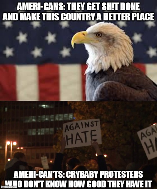 Two Types of Americans | AMERI-CANS: THEY GET SH!T DONE AND MAKE THIS COUNTRY A BETTER PLACE; AMERI-CAN'TS: CRYBABY PROTESTERS WHO DON'T KNOW HOW GOOD THEY HAVE IT | image tagged in donald trump,americans,protesters,crybabies,american eagle,american flag | made w/ Imgflip meme maker