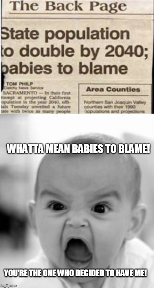 WHATTA MEAN BABIES TO BLAME! YOU'RE THE ONE WHO DECIDED TO HAVE ME! | image tagged in memes,angry baby | made w/ Imgflip meme maker