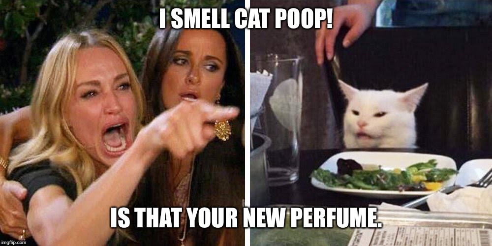 Smudge the cat | I SMELL CAT POOP! IS THAT YOUR NEW PERFUME. | image tagged in smudge the cat | made w/ Imgflip meme maker