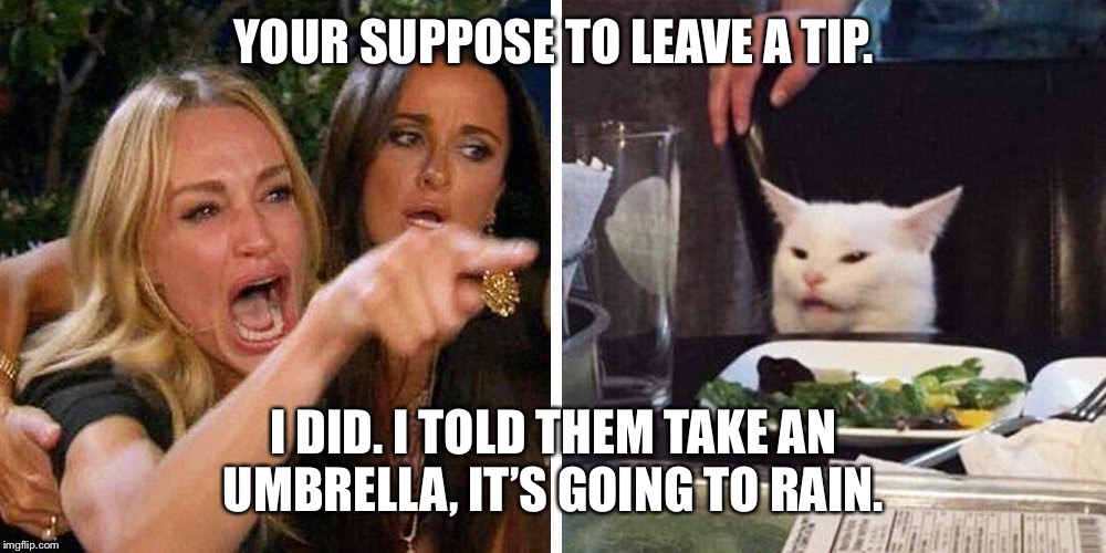 Smudge the cat | YOUR SUPPOSE TO LEAVE A TIP. I DID. I TOLD THEM TAKE AN UMBRELLA, IT’S GOING TO RAIN. | image tagged in smudge the cat | made w/ Imgflip meme maker