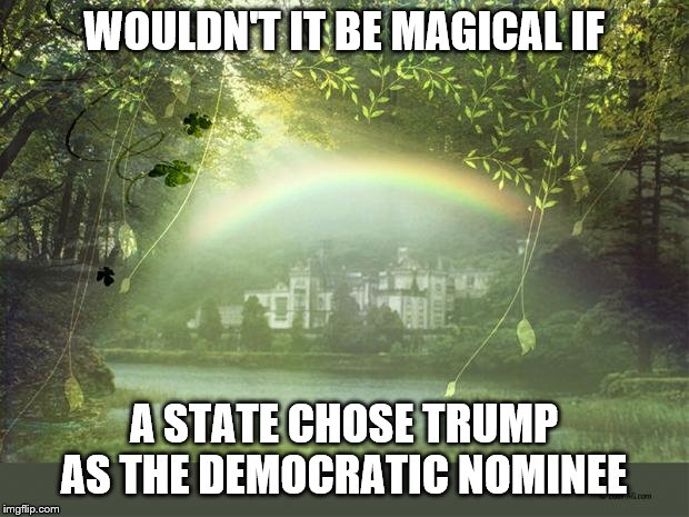 I think we should start a write in campaign. | WOULDN'T IT BE MAGICAL IF; A STATE CHOSE TRUMP AS THE DEMOCRATIC NOMINEE | image tagged in election 2020,primary,funny memes,politics,donald trump | made w/ Imgflip meme maker