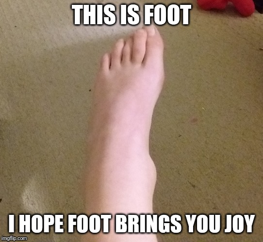 Lots of people were making these so i made my own | THIS IS FOOT; I HOPE FOOT BRINGS YOU JOY | image tagged in foot,funny memes | made w/ Imgflip meme maker