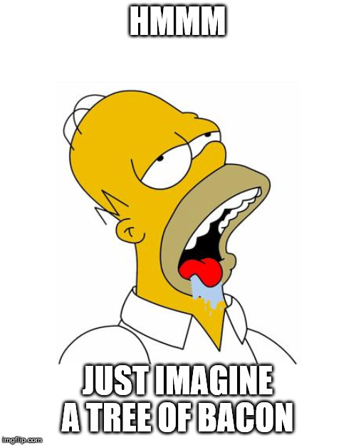 Homer Simpson Drooling | HMMM JUST IMAGINE A TREE OF BACON | image tagged in homer simpson drooling | made w/ Imgflip meme maker