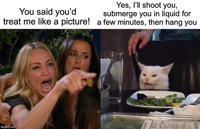 Woman Yelling At Cat Meme | Yes, I’ll shoot you, submerge you in liquid for a few minutes, then hang you; You said you’d treat me like a picture! | image tagged in memes,woman yelling at cat | made w/ Imgflip meme maker
