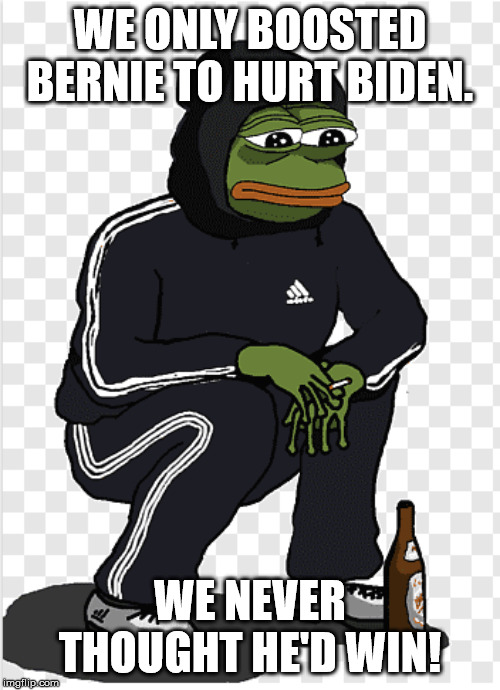 Careful what you wish for... | WE ONLY BOOSTED BERNIE TO HURT BIDEN. WE NEVER THOUGHT HE'D WIN! | image tagged in sad gopnik pepe,memes,politics | made w/ Imgflip meme maker