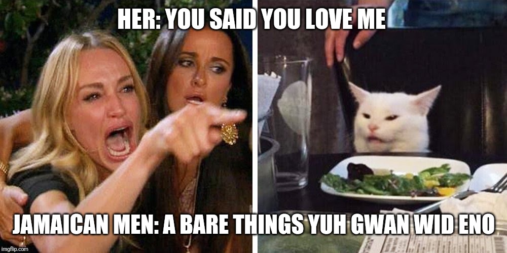 Smudge the cat | HER: YOU SAID YOU LOVE ME; JAMAICAN MEN: A BARE THINGS YUH GWAN WID ENO | image tagged in smudge the cat | made w/ Imgflip meme maker