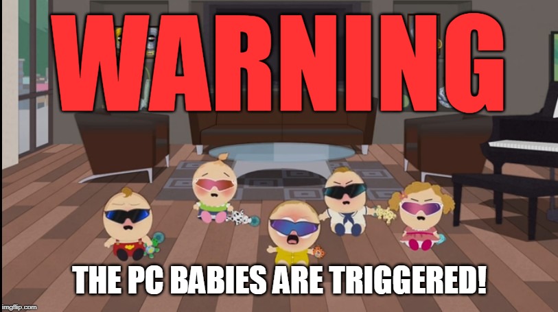 Quick, call the wahbulance! | WARNING; THE PC BABIES ARE TRIGGERED! | image tagged in pc babies crying | made w/ Imgflip meme maker