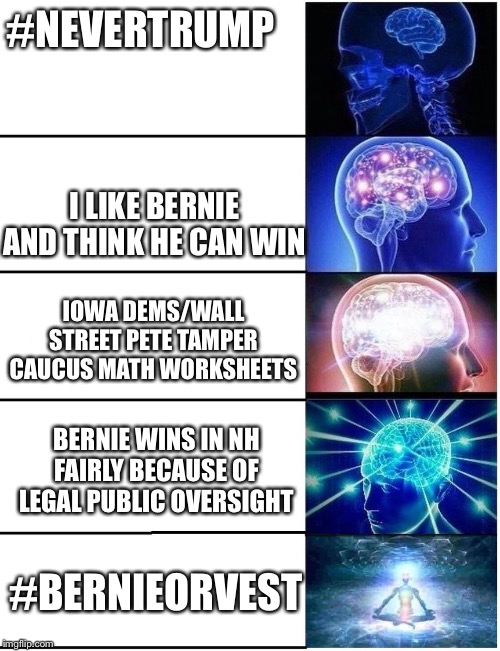 Expanding Brain 5 Panel | #NEVERTRUMP; I LIKE BERNIE AND THINK HE CAN WIN; IOWA DEMS/WALL STREET PETE TAMPER CAUCUS MATH WORKSHEETS; BERNIE WINS IN NH FAIRLY BECAUSE OF LEGAL PUBLIC OVERSIGHT; #BERNIEORVEST | image tagged in expanding brain 5 panel | made w/ Imgflip meme maker