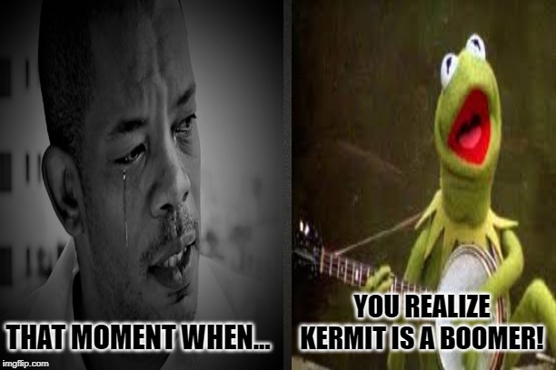 Kermit/Caesar Mack meme | YOU REALIZE KERMIT IS A BOOMER! THAT MOMENT WHEN... | image tagged in kermit the frog,90 day fiance,ok boomer,boomer,memes,funny | made w/ Imgflip meme maker