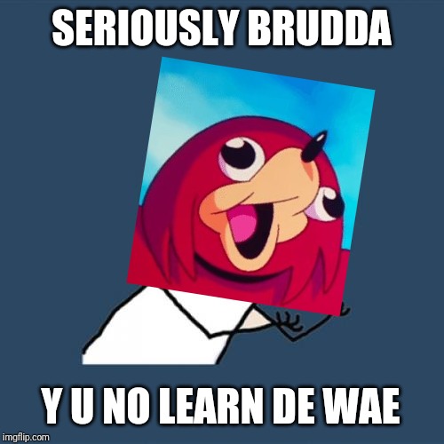 Seriously brudda y u no learn de wae | SERIOUSLY BRUDDA; Y U NO LEARN DE WAE | image tagged in memes,y u no,ugandan knuckles,de wae,dank memes,funny memes | made w/ Imgflip meme maker