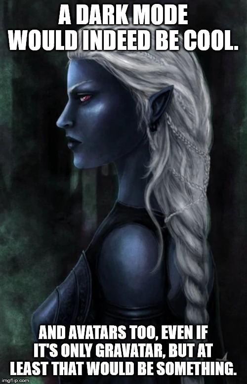Drow Woman | A DARK MODE WOULD INDEED BE COOL. AND AVATARS TOO, EVEN IF IT'S ONLY GRAVATAR, BUT AT LEAST THAT WOULD BE SOMETHING. | image tagged in drow woman | made w/ Imgflip meme maker