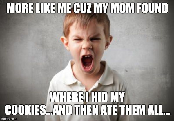 angry kid | MORE LIKE ME CUZ MY MOM FOUND WHERE I HID MY COOKIES...AND THEN ATE THEM ALL... | image tagged in angry kid | made w/ Imgflip meme maker