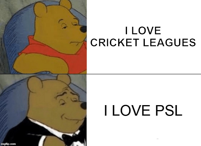 Tuxedo Winnie The Pooh Meme | I LOVE CRICKET LEAGUES; I LOVE PSL | image tagged in memes,tuxedo winnie the pooh | made w/ Imgflip meme maker