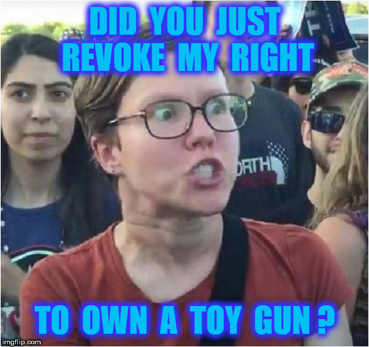 DID  YOU  JUST  REVOKE  MY  RIGHT TO  OWN  A  TOY  GUN ? | made w/ Imgflip meme maker
