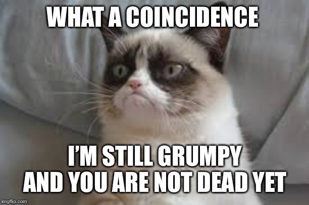 Grumpy cat is still grumpy | WHAT A COINCIDENCE; I’M STILL GRUMPY AND YOU ARE NOT DEAD YET | image tagged in grumpy cat,dead | made w/ Imgflip meme maker