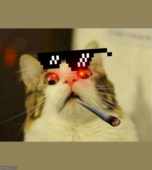 Scared Cat Meme | image tagged in memes,scared cat | made w/ Imgflip meme maker