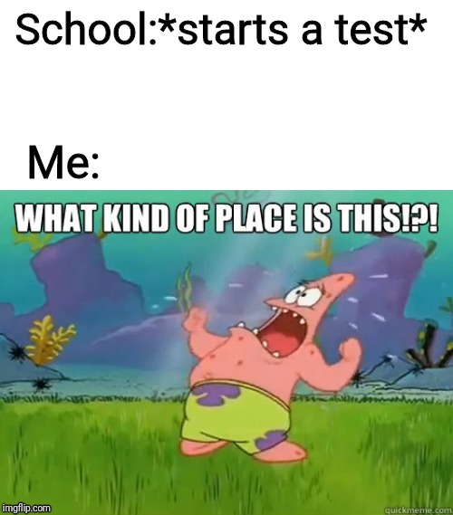 What kind of place is this? | School:*starts a test*; Me: | image tagged in what kind of place is this | made w/ Imgflip meme maker