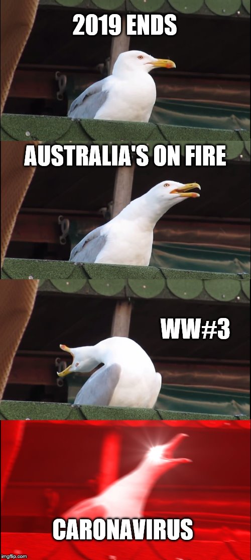 Inhaling Seagull | 2019 ENDS; AUSTRALIA'S ON FIRE; WW#3; CARONAVIRUS | image tagged in memes,inhaling seagull | made w/ Imgflip meme maker