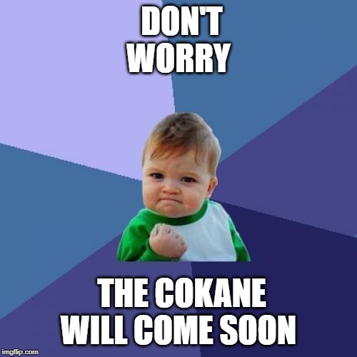 Success Kid Meme | DON'T WORRY; THE COKANE WILL COME SOON | image tagged in memes,success kid | made w/ Imgflip meme maker