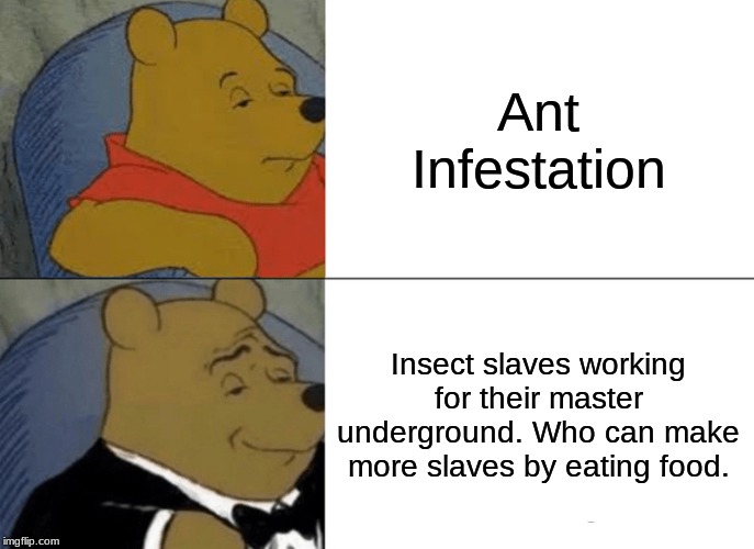 Tuxedo Winnie The Pooh Meme | Ant Infestation; Insect slaves working for their master underground. Who can make more slaves by eating food. | image tagged in memes,tuxedo winnie the pooh | made w/ Imgflip meme maker