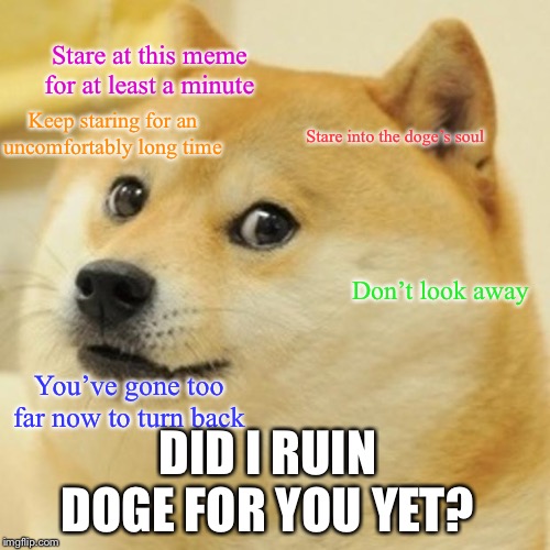Have a staring contest with doge | Stare at this meme for at least a minute; Keep staring for an uncomfortably long time; Stare into the doge’s soul; Don’t look away; You’ve gone too far now to turn back; DID I RUIN DOGE FOR YOU YET? | image tagged in memes,doge,staring contest | made w/ Imgflip meme maker