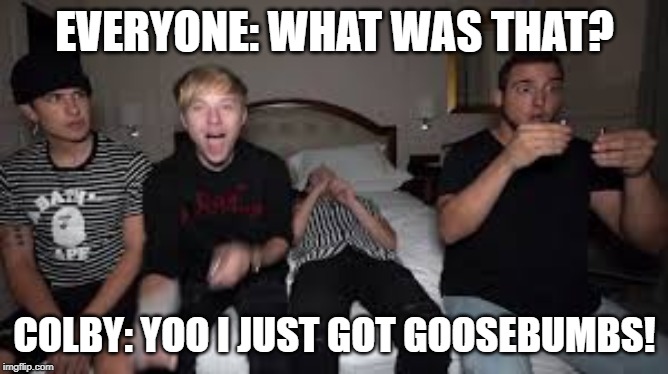 colby | EVERYONE: WHAT WAS THAT? COLBY: YOO I JUST GOT GOOSEBUMBS! | image tagged in memes,so true | made w/ Imgflip meme maker
