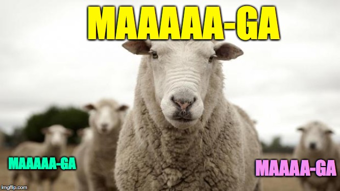 Maaaaa-ga  ( : | MAAAAA-GA; MAAAA-GA; MAAAAA-GA | image tagged in sheep,memes,trumplicans | made w/ Imgflip meme maker