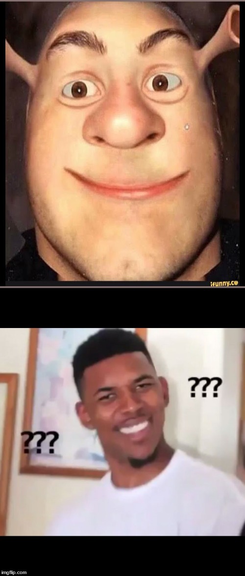 what the fuck n*gga wtf | image tagged in what the fuck ngga wtf | made w/ Imgflip meme maker