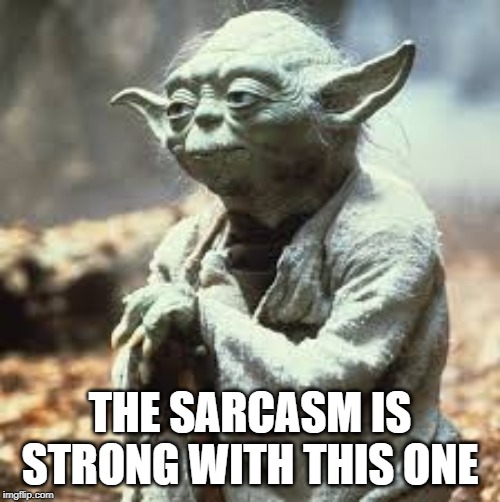 THE SARCASM IS STRONG WITH THIS ONE | image tagged in fun | made w/ Imgflip meme maker