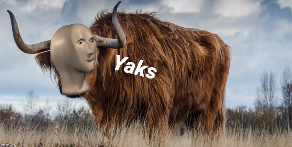 Yaks | image tagged in meme man,stonks,memes,funny | made w/ Imgflip meme maker