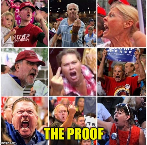 Triggered Trump supporters | THE PROOF | image tagged in triggered trump supporters | made w/ Imgflip meme maker