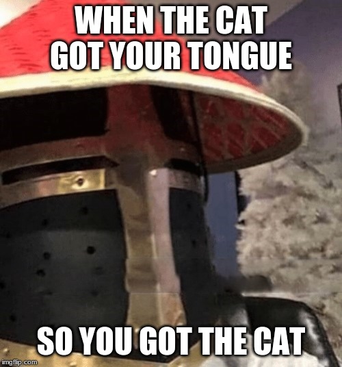 Ching Chong Crusader | WHEN THE CAT GOT YOUR TONGUE; SO YOU GOT THE CAT | image tagged in ching chong crusader | made w/ Imgflip meme maker