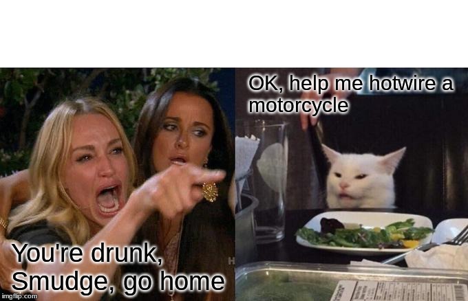 Woman Yelling At Cat | OK, help me hotwire a
motorcycle; You're drunk, Smudge, go home | image tagged in memes,woman yelling at cat | made w/ Imgflip meme maker