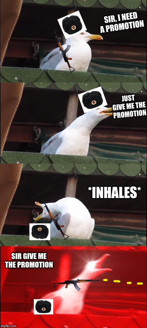 Inhaling Seagull | SIR, I NEED A PROMOTION; JUST GIVE ME THE PROMOTION; *INHALES*; SIR GIVE ME THE PROMOTION | image tagged in memes,inhaling seagull | made w/ Imgflip meme maker