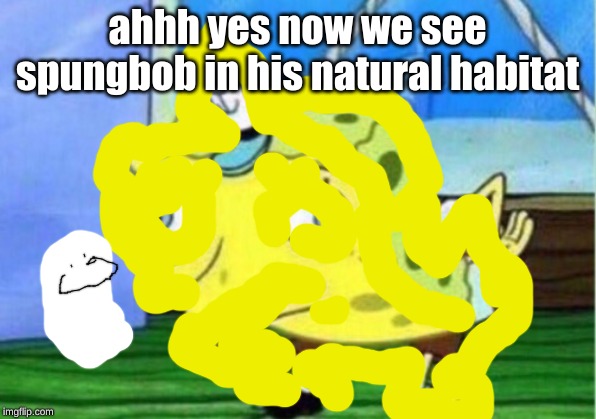 Mocking Spongebob Meme | ahhh yes now we see spungbob in his natural habitat | image tagged in memes,mocking spongebob | made w/ Imgflip meme maker