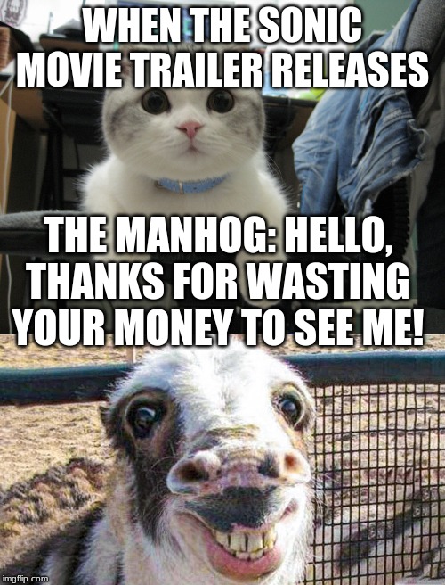 Soic | WHEN THE SONIC MOVIE TRAILER RELEASES; THE MANHOG: HELLO, THANKS FOR WASTING YOUR MONEY TO SEE ME! | image tagged in sonic the hedgehog,cats,goat | made w/ Imgflip meme maker