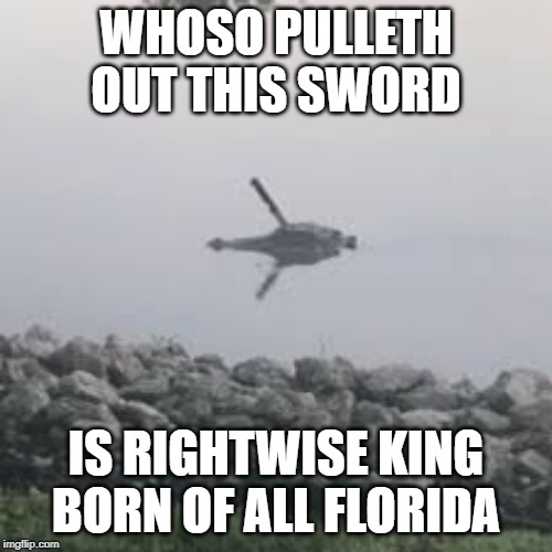 king of florida | WHOSO PULLETH OUT THIS SWORD; IS RIGHTWISE KING BORN OF ALL FLORIDA | image tagged in florida man,salt life,alligator,king of florida,florida,funny | made w/ Imgflip meme maker