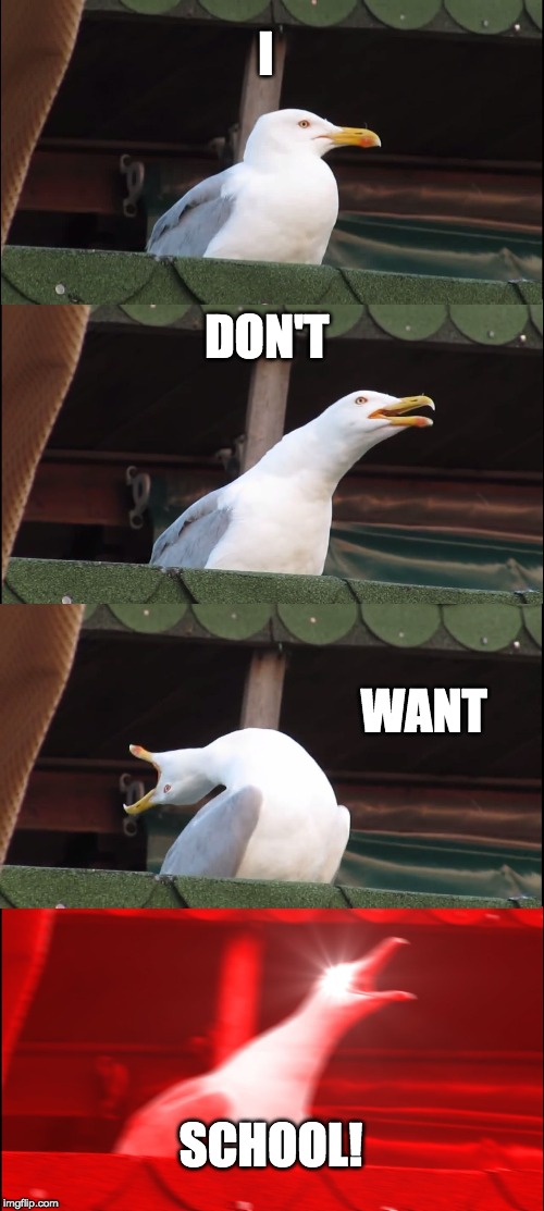 Inhaling Seagull | I; DON'T; WANT; SCHOOL! | image tagged in memes,inhaling seagull | made w/ Imgflip meme maker