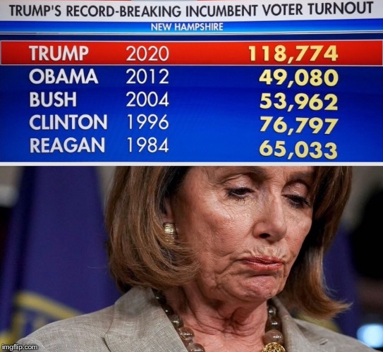 Well done, Nancy... | image tagged in new hampshire,donald trump | made w/ Imgflip meme maker