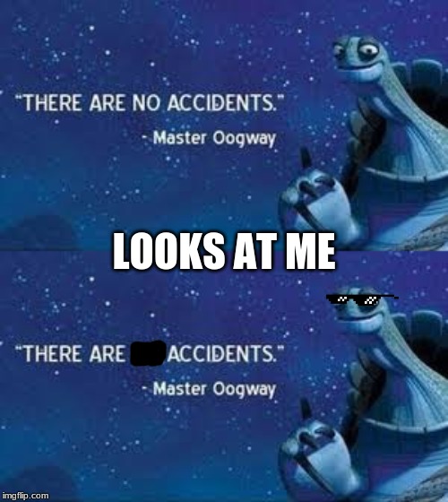 He is right | LOOKS AT ME | image tagged in master oogway,sunglasses | made w/ Imgflip meme maker