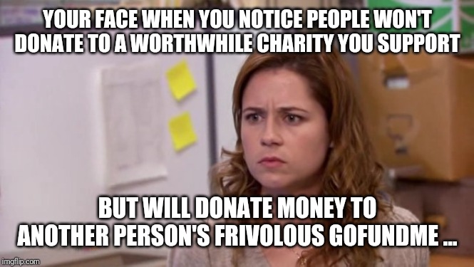 Sure, homeless animals don't need your help, but your buddy who has no job deserves money for a fun-cation...? | YOUR FACE WHEN YOU NOTICE PEOPLE WON'T DONATE TO A WORTHWHILE CHARITY YOU SUPPORT; BUT WILL DONATE MONEY TO ANOTHER PERSON'S FRIVOLOUS GOFUNDME ... | image tagged in the office,charity,gofundme,cheapskate,mad,annoyed | made w/ Imgflip meme maker