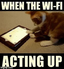 When the Wi-Fi acts up in your house | image tagged in gifs | made w/ Imgflip video-to-gif maker