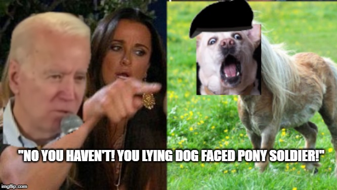 Joe Biden Interacts with voters in 2020AD [Colorized] | "NO YOU HAVEN'T! YOU LYING DOG FACED PONY SOLDIER!" | image tagged in politics,woman yelling at cat,pony,dog,joe biden | made w/ Imgflip meme maker