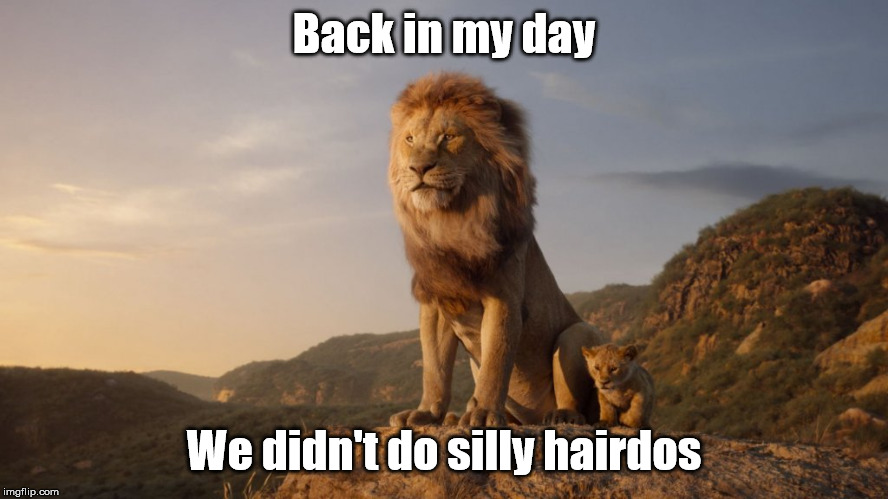 Proud lion | Back in my day We didn't do silly hairdos | image tagged in proud lion | made w/ Imgflip meme maker