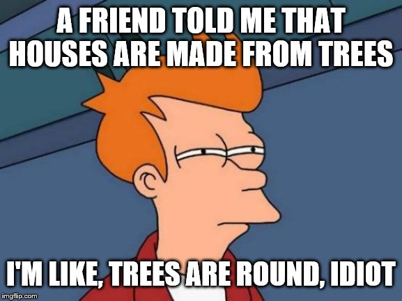 Futurama Fry Meme | A FRIEND TOLD ME THAT HOUSES ARE MADE FROM TREES; I'M LIKE, TREES ARE ROUND, IDIOT | image tagged in memes,futurama fry | made w/ Imgflip meme maker