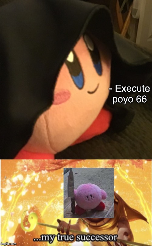 - Execute poyo 66 | image tagged in my true successor | made w/ Imgflip meme maker
